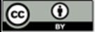 Creative Commons License